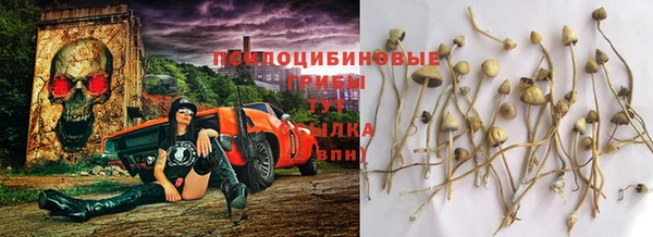круглые Алексеевка
